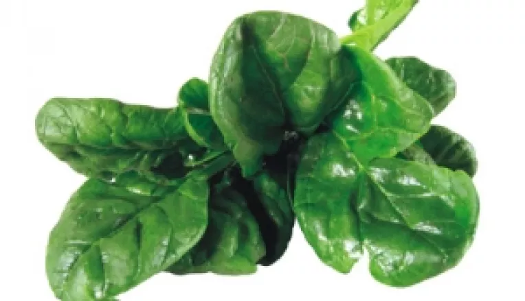 Beneficiile spanacului pentru sanatate