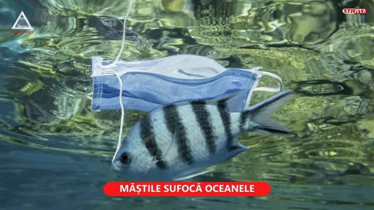 Coronavirusul afecteaza marile si oceanele lumii