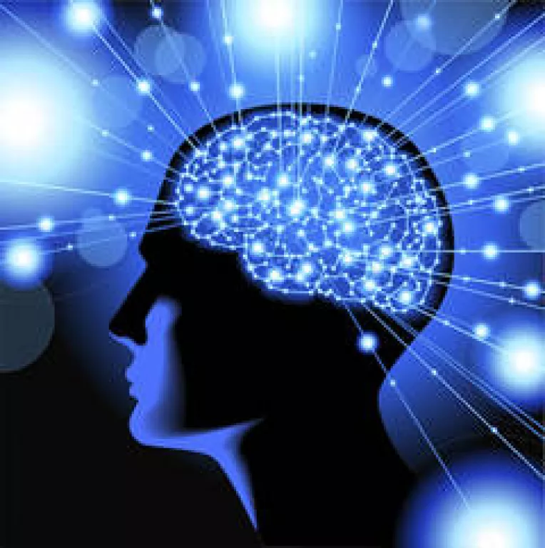 Creierul este infinit mai complex decat microprocesorul unui computer