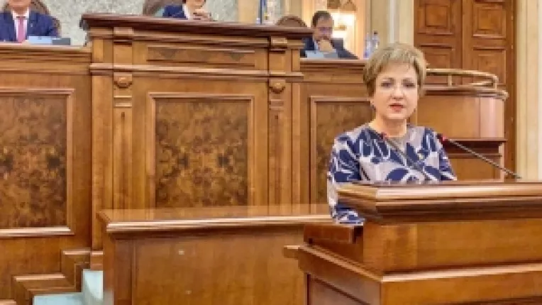 Emilia Arcan: Rezolutia PE privind Romania reprezinta o mare nedreptate pentru o tara profund pro-europeana