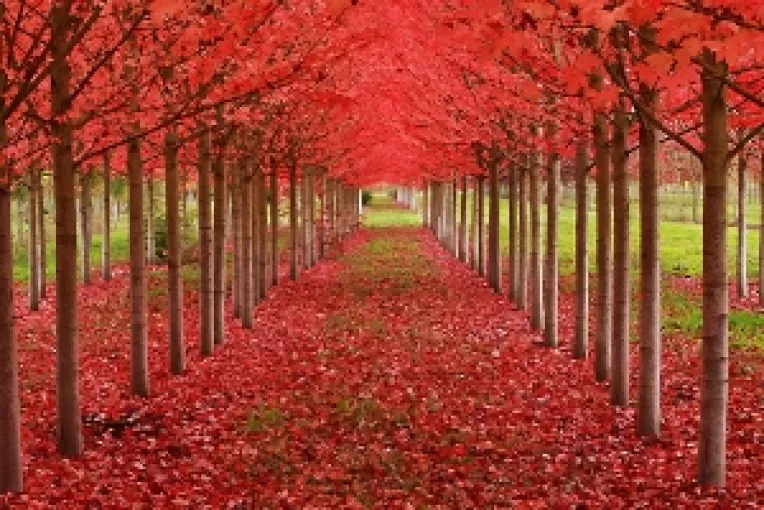 HOROSCOP: Weekend-ul 14-15 Octombrie 2017