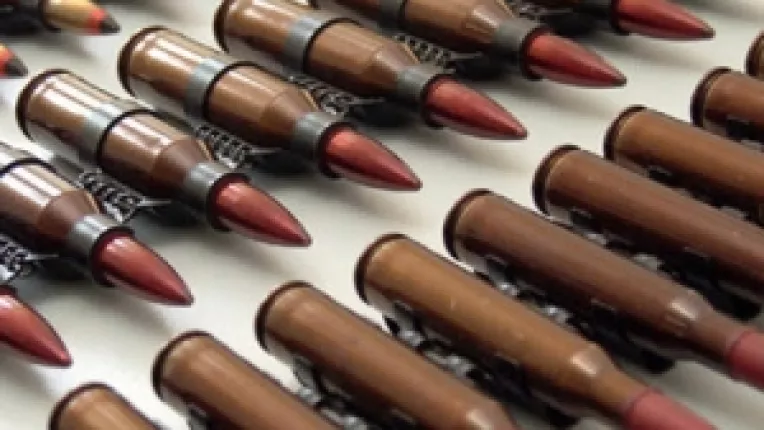 INTERPOL Belgia sesizat ca Mircea Basescu a participat la o operatiune ultrasecreta de trafic international cu explozibil si munitie, sustine S.R. Stanescu