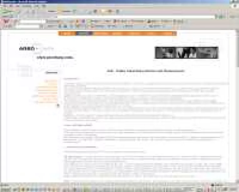 Marii anuntatori romani de publicitate incep sa cocheteze cu Internetul