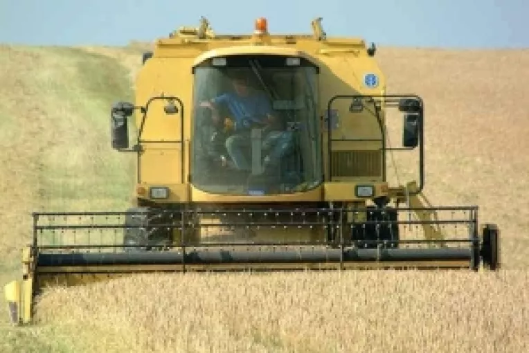 Panificatia la mana samsarilor
40 % din tranzactiile cu cereale se fac pe piata neagra