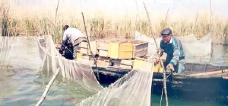 Pe banii europenilor ne dezvoltam si acvacultura
