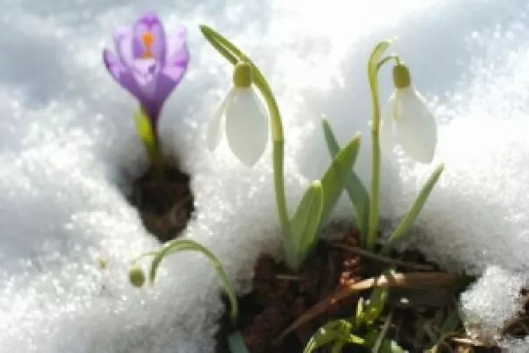 Prognoza meteo pe regiuni istorice, pana la 23 februarie 2014