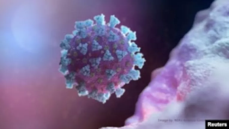 Sapte lucruri pe care nu le stii despre coronavirus