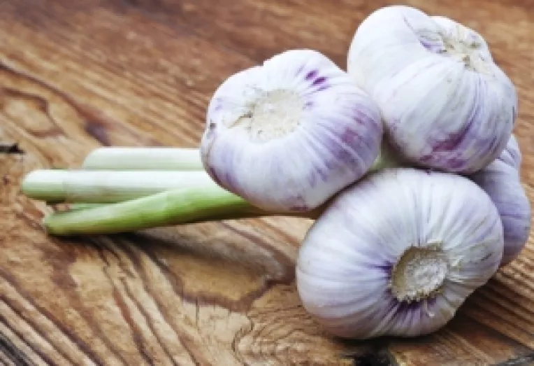 Usturoiul este eficient impotriva streptococilor