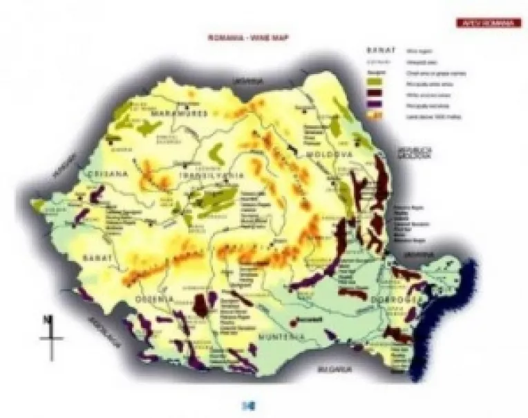 Vinul romanesc este comparabil cu vinul frantuzesc